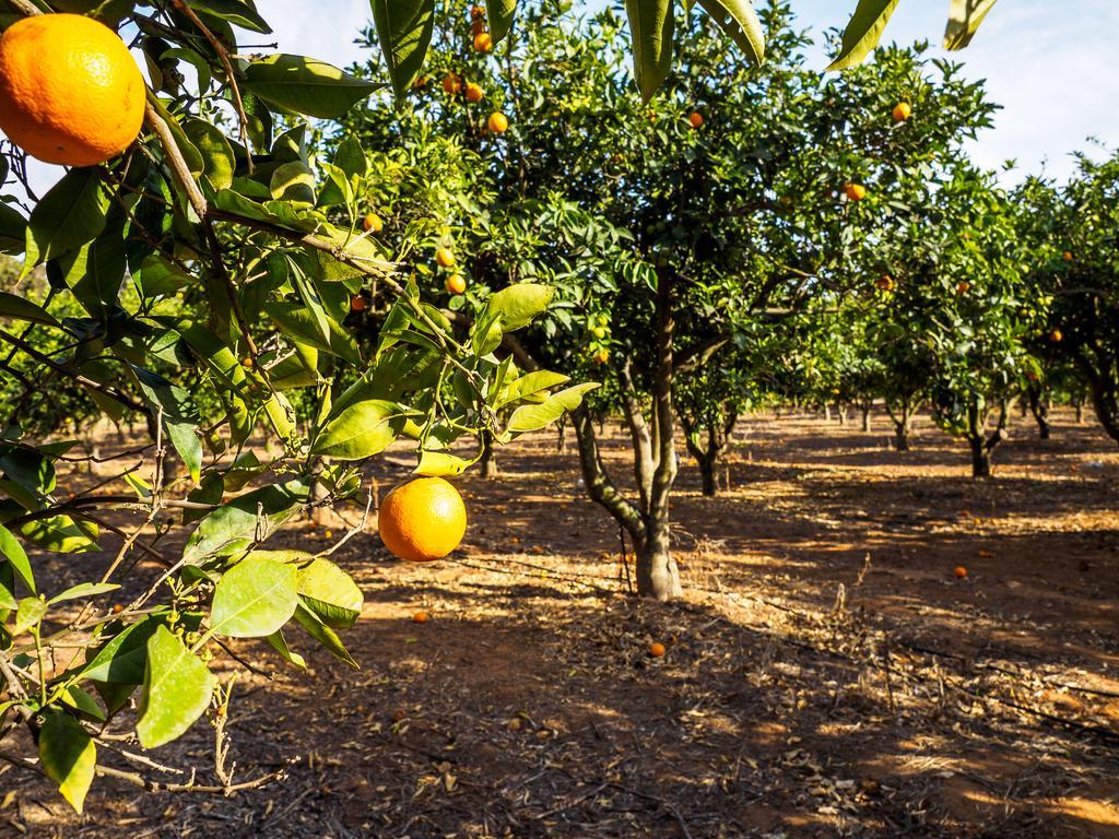 I Giardini Di Athena- Athena Resort Scoglitti Dış mekan fotoğraf